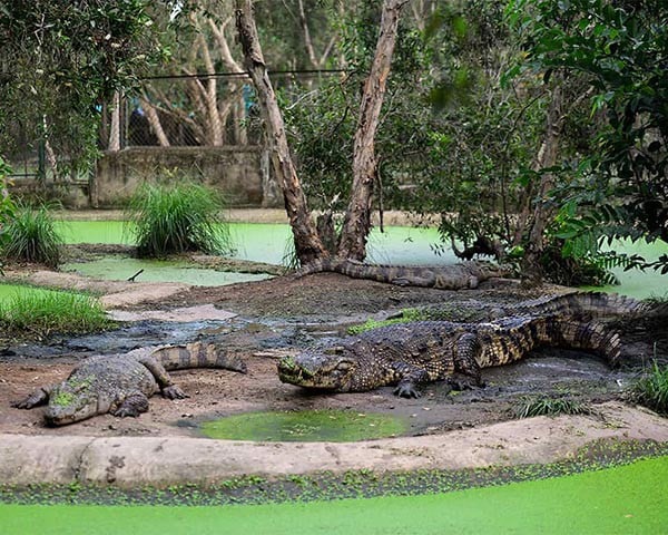 khu du lịch Bến Xưa