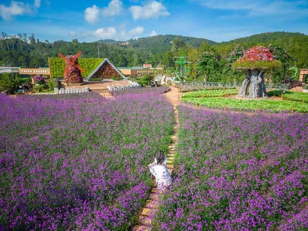 Khu du lịch Fresh Garden Dalat