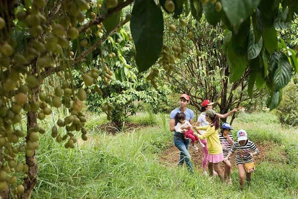 Khu du lịch Madagui Bảo Lộc