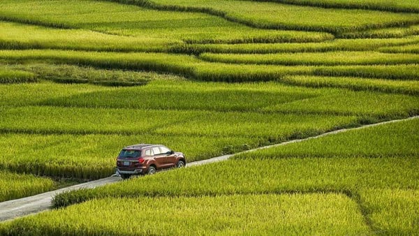 Khu du lịch sinh thái Mỹ Phước Thành