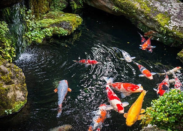 Khu du lịch thác Giang Điền