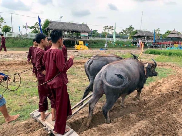 Khu du lịch văn hóa Phương Nam