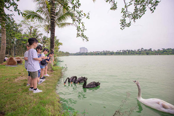 Camping tại công viên hồ Thiên Nga Ecopark