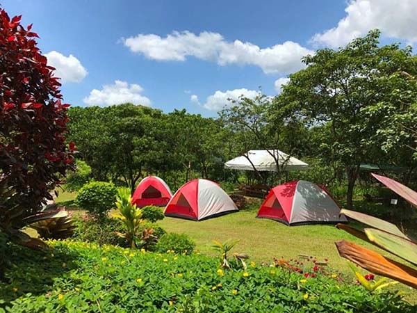 Camping tại công viên mùa Xuân Ecopark