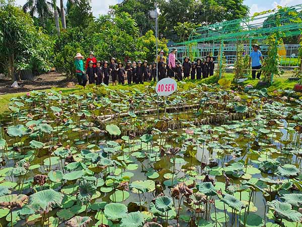 Khu du lịch sinh thái Hóc Môn Sunshine