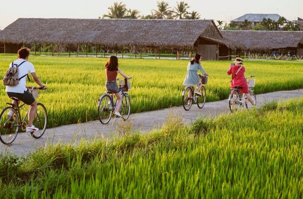 Hình thức du lịch sinh thái Nông Nghiệp