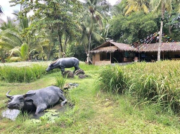 Khu du lịch sinh thái Bình Quới