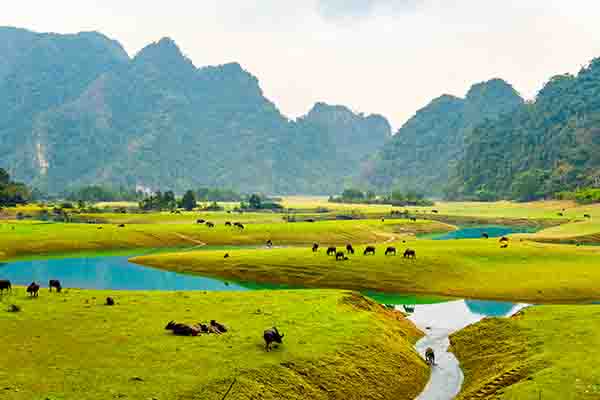 Khu du lịch rừng thông Yên Minh