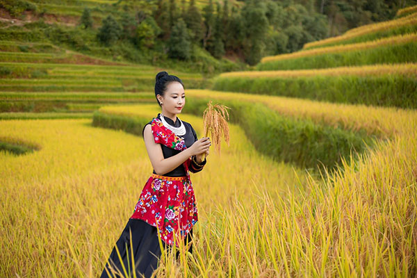 Check-in tại ruộng bậc thang Hoàng Su Phì