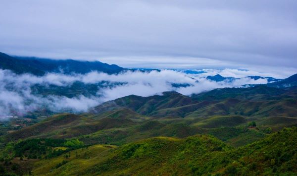 a pa chải