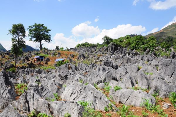 cao nguyên đá tủa chùa