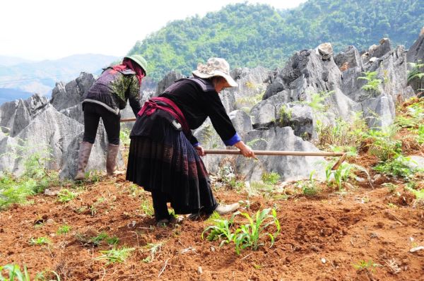 cao nguyên đá tủa chùa