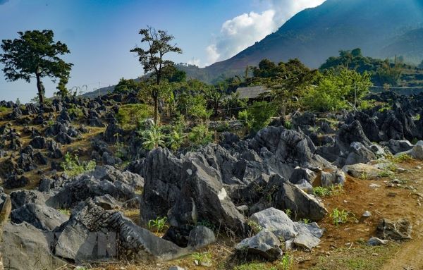 cao nguyên đá tủa chùa