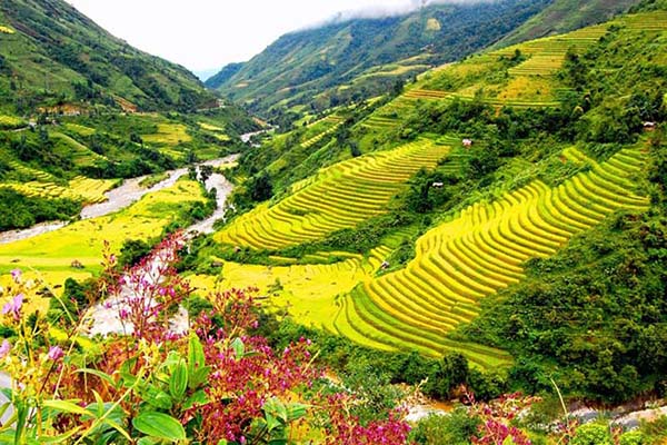 Khu du lịch núi Hàm Rồng Sapa