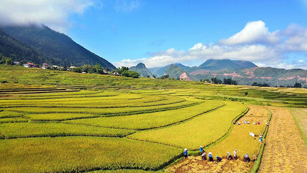 Du khách nên tôn trọng văn hóa của người dân nơi đây