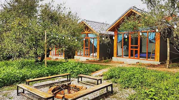 Bạn có thể lựa chọn lưu trú tại các homestay