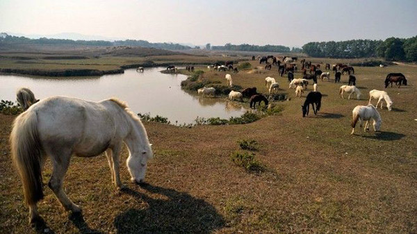 Du lịch Trại ngựa Bá Vân