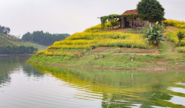 Du lịch trại ngựa Bá Vân