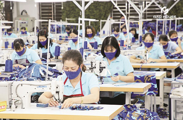 địa chỉ may áo lớp màu đỏ mận